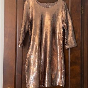 BB Dakota Sequin Minidress